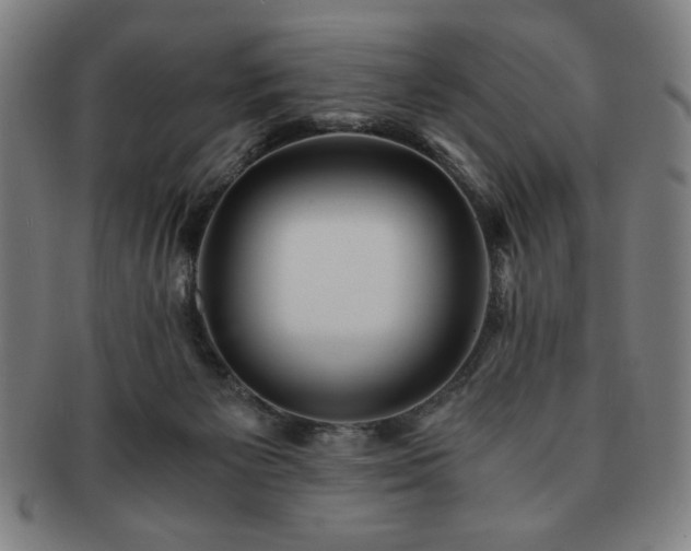 X0000091450125200708231303