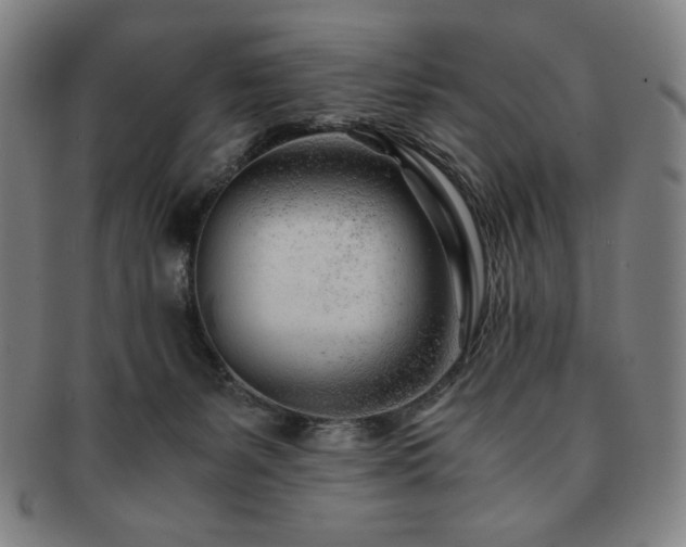 X0000091450127200708231303