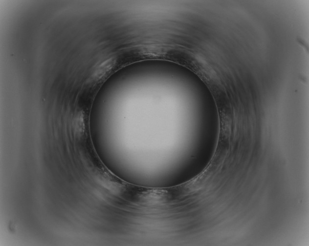 X0000091450128200708231303