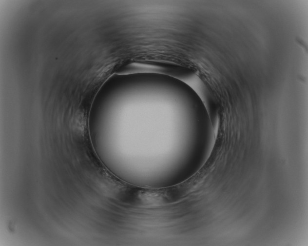 X0000091450129200708231303