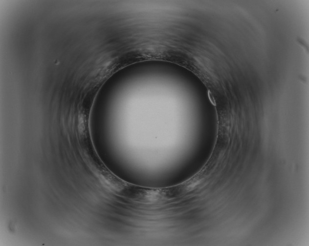 X0000091450130200708231303