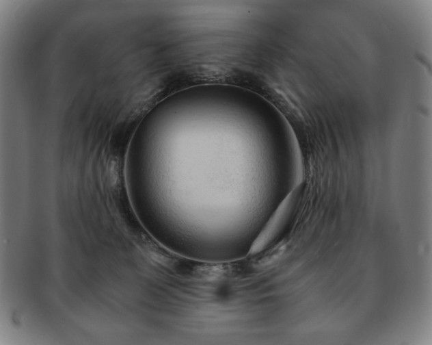 X0000091450131200708231303