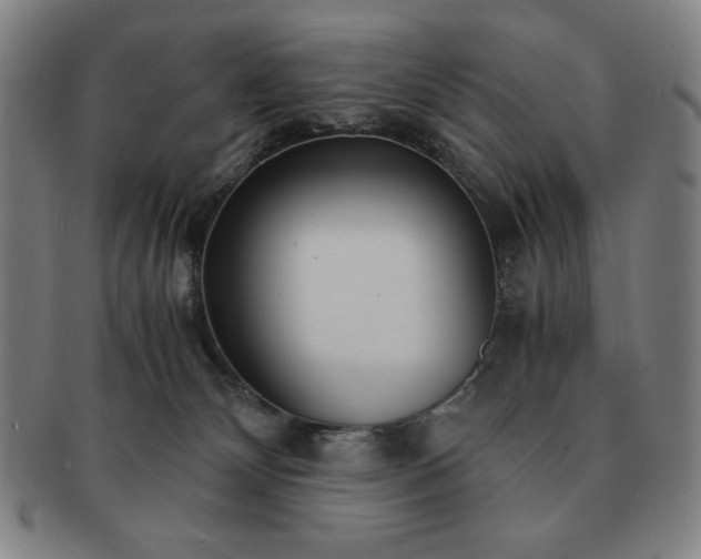 X0000091450132200708231303