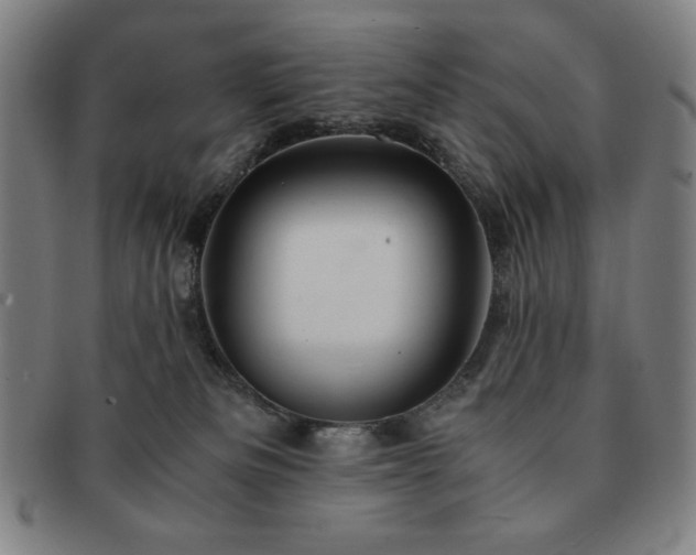 X0000091450133200708231303