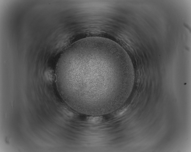 X0000091450135200708231303