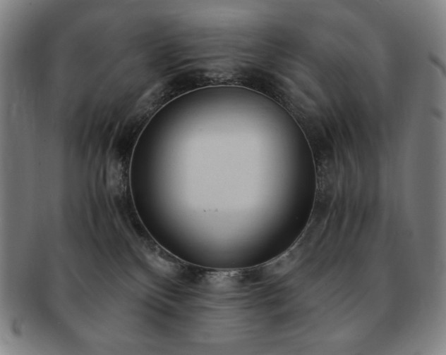 X0000091450136200708231303
