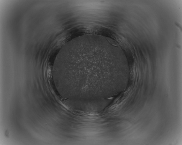 X0000091450137200708231303