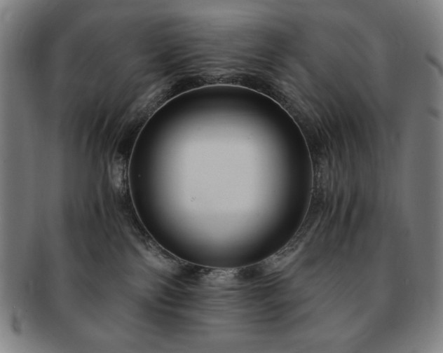 X0000091450138200708231303