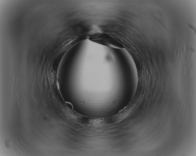 X0000091450139200708231303