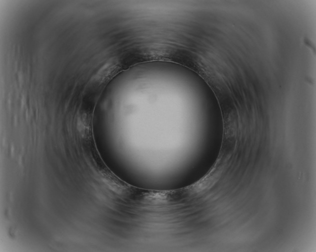 X0000091450140200708231303