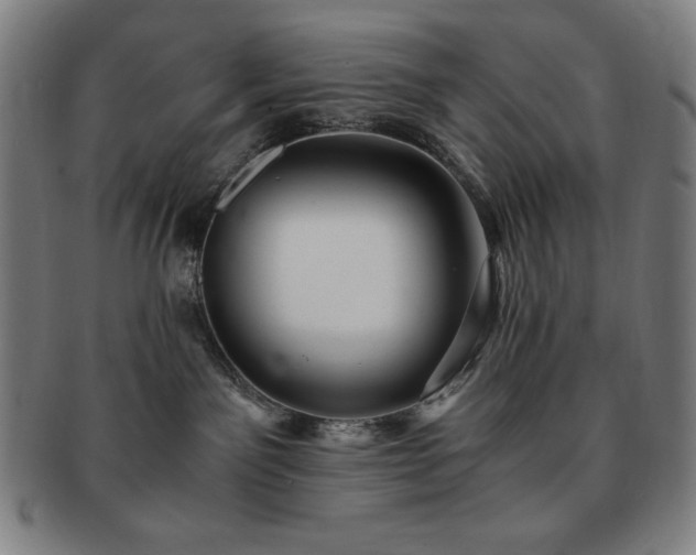 X0000091450141200708231303