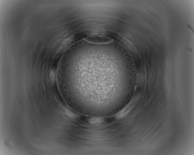 X0000091450142200708231303