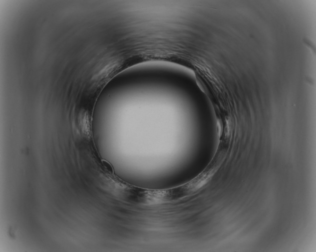 X0000091450143200708231303