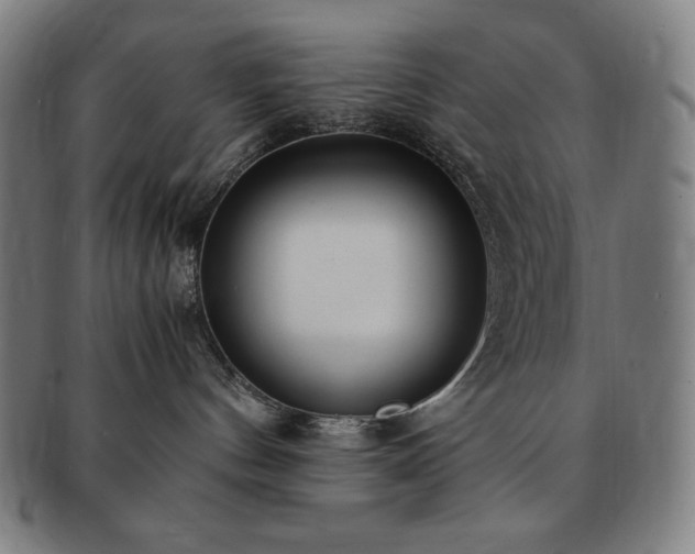 X0000091450144200708231303