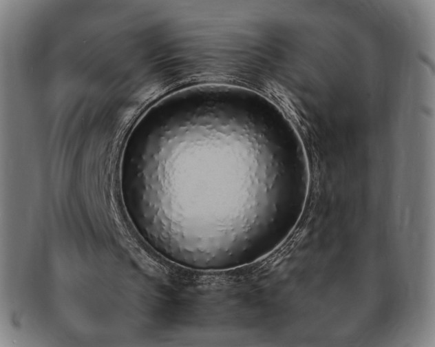 X0000091450145200708231302