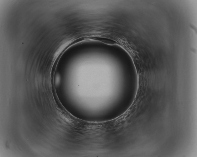 X0000091450147200708231302
