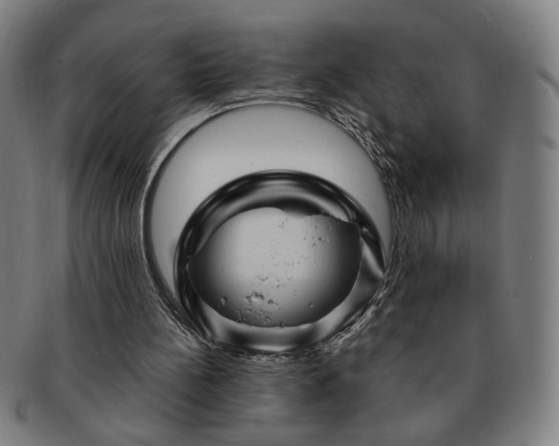 X0000091450148200708231302