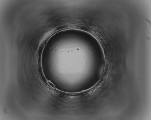 X0000091450149200708231302