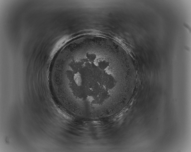 X0000091450151200708231303