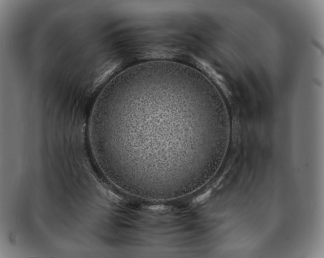 X0000091450153200708231303