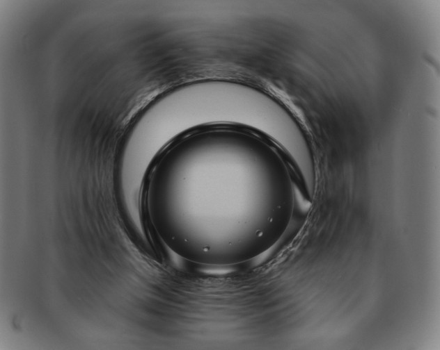 X0000091450154200708231303