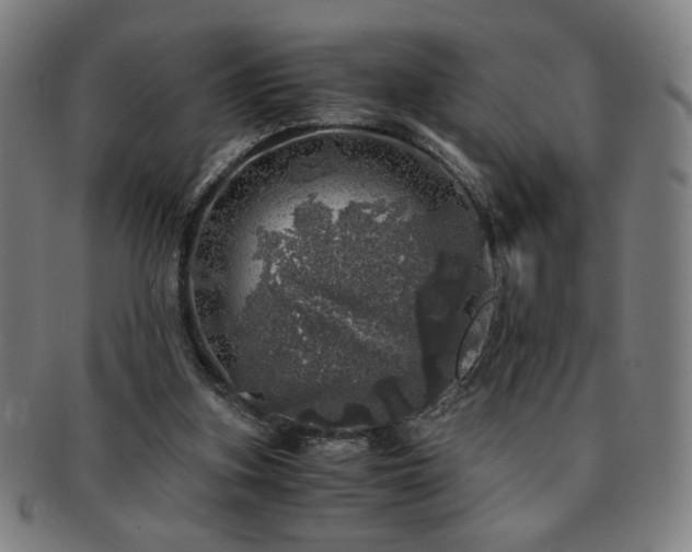 X0000091450155200708231303