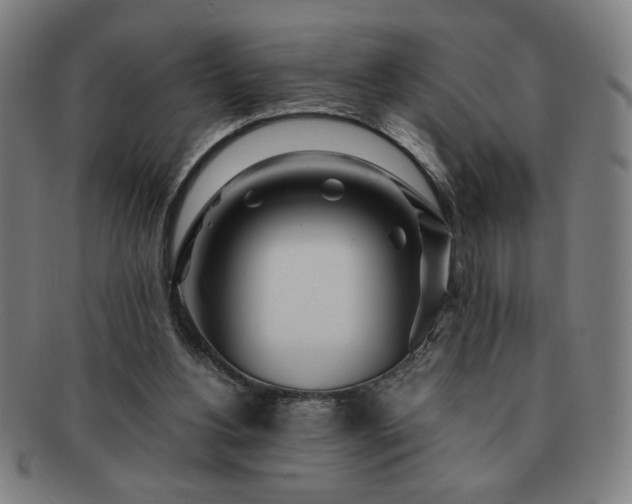 X0000091450156200708231303