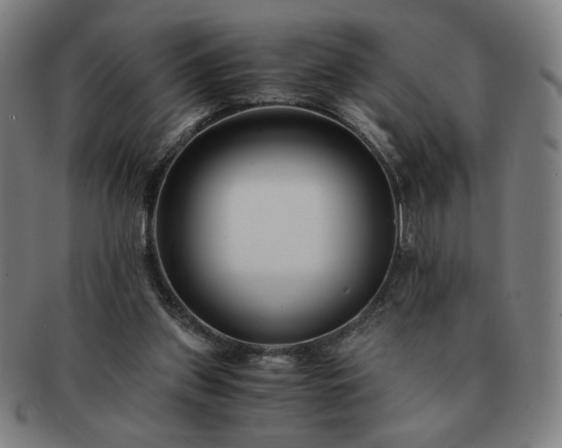X0000091450157200708231303