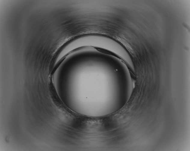 X0000091450160200708231303