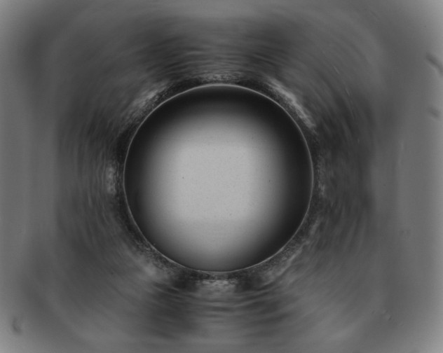 X0000091450161200708231303