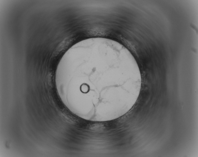 X0000091450162200708231303