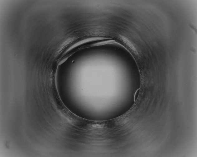 X0000091450163200708231303