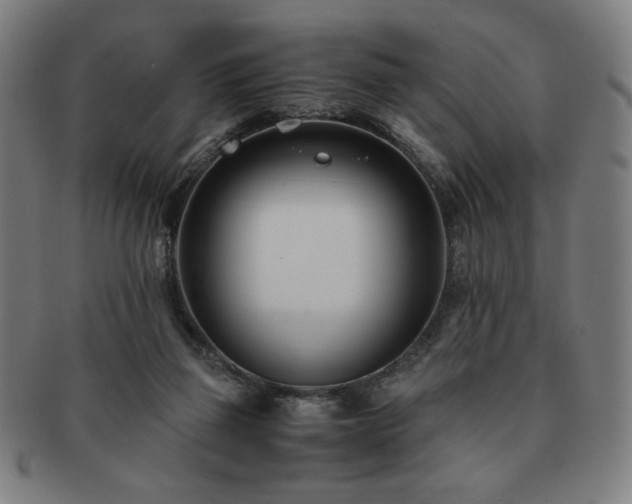 X0000091450165200708231303