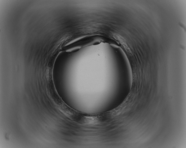 X0000091450167200708231303