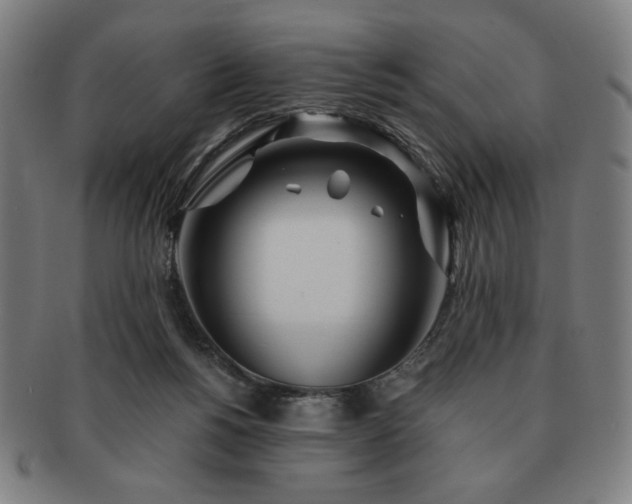 X0000091450168200708231303