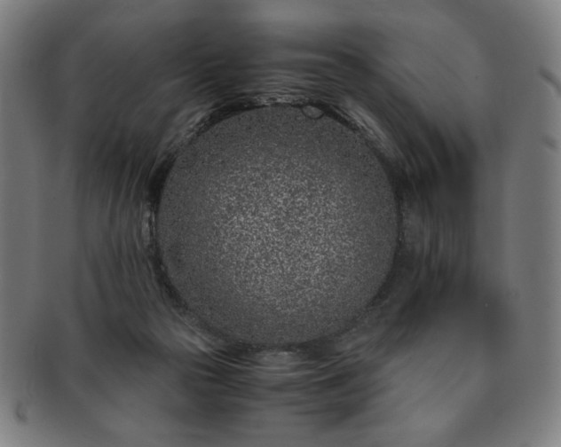 X0000091450169200708231303