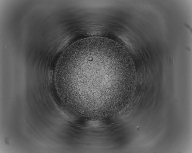 X0000091450171200708231303