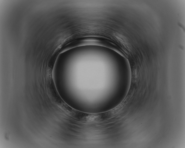 X0000091450172200708231303