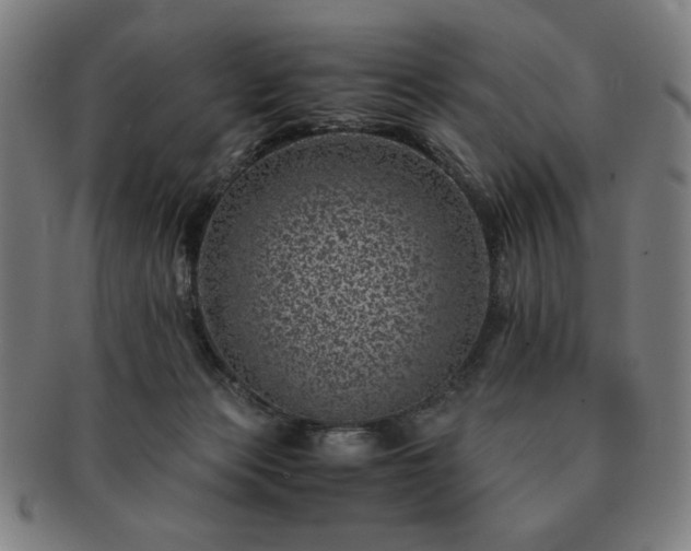 X0000091450173200708231303