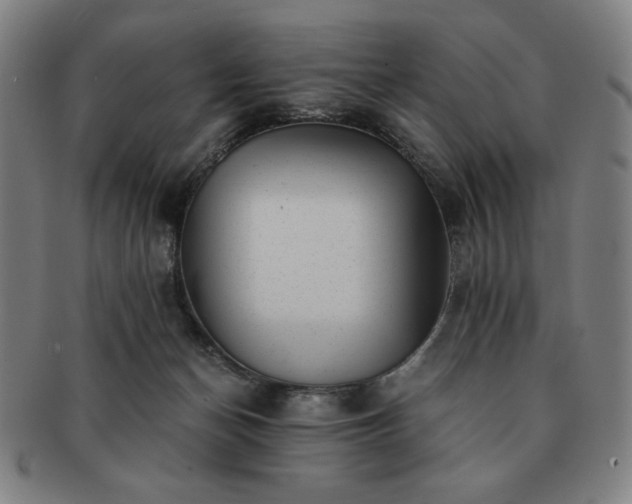 X0000091450174200708231303