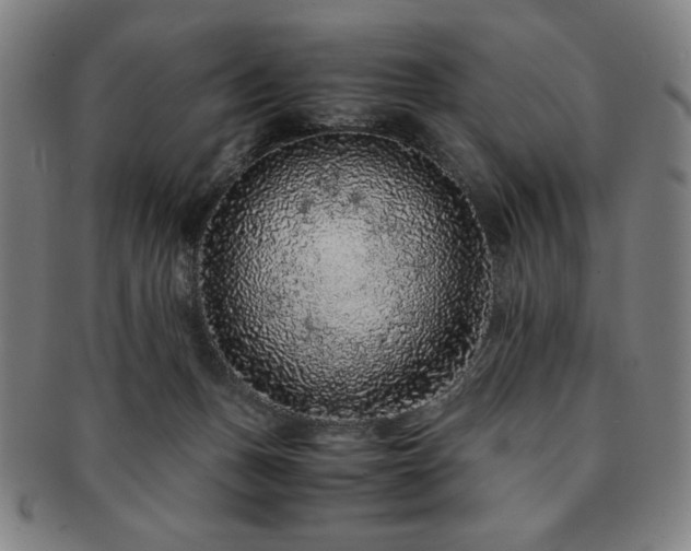 X0000091450175200708231303