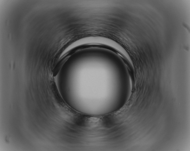 X0000091450176200708231303