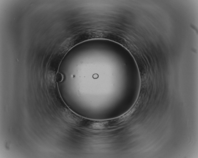 X0000091450178200708231303