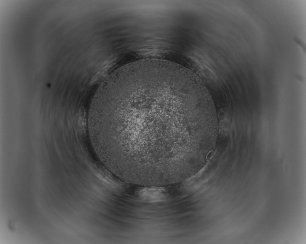 X0000091450179200708231303