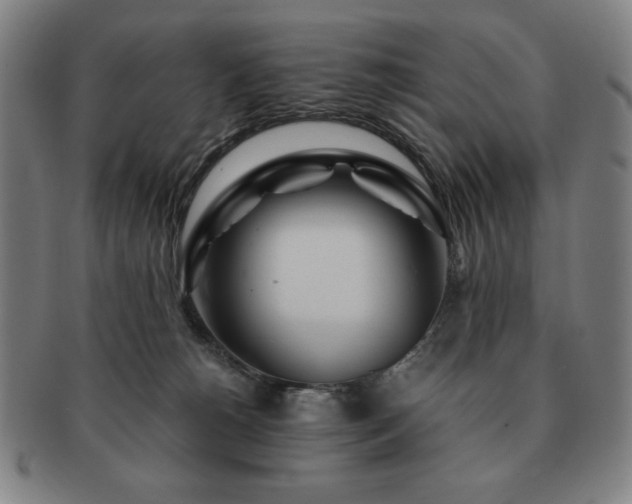 X0000091450180200708231303