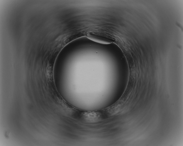 X0000091450181200708231303