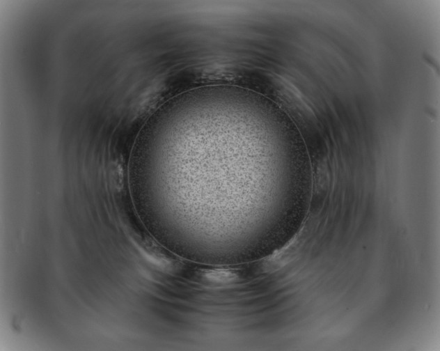 X0000091450183200708231303