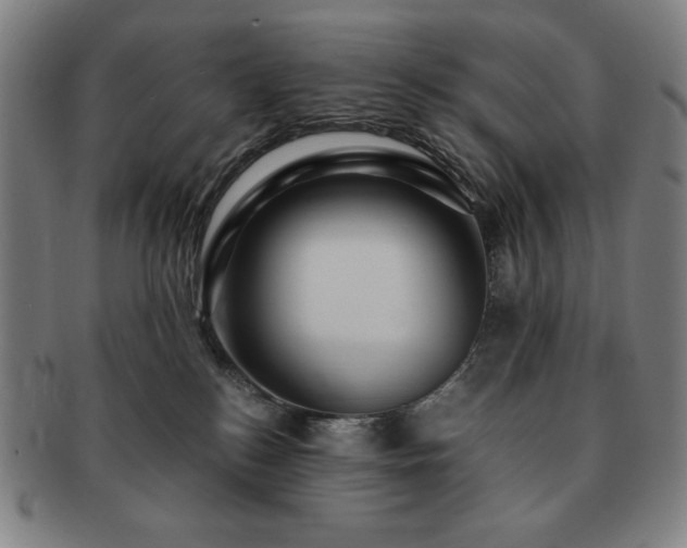 X0000091450184200708231303