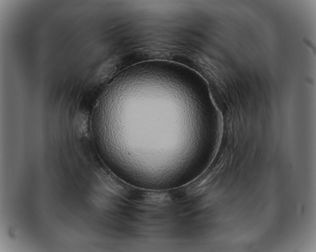 X0000091450185200708231303