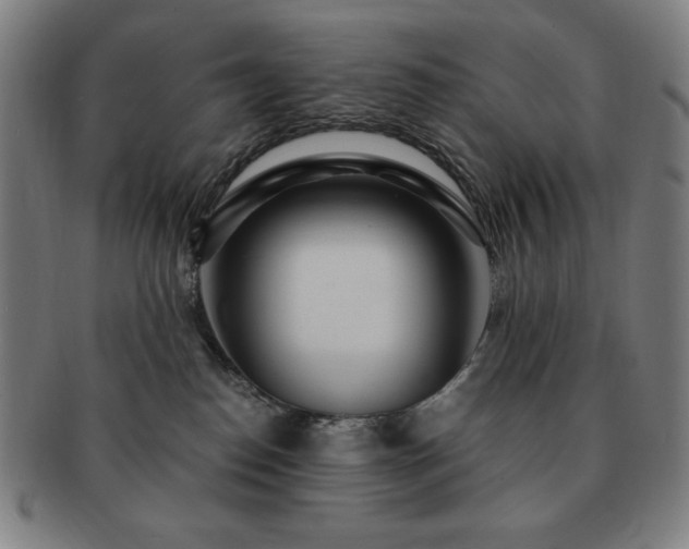 X0000091450186200708231303